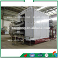 China Máquina de secagem por congelação de cenoura FDG